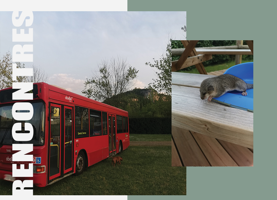 location d'emplacement, de mobil-home pour séjour en tente, caravane, camping-car sur le passage de la viarhôna hieres sur amby