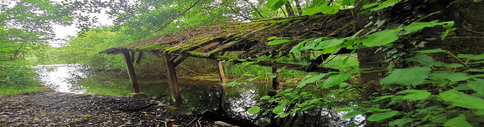 camping au sein d'un milieu naturel protege